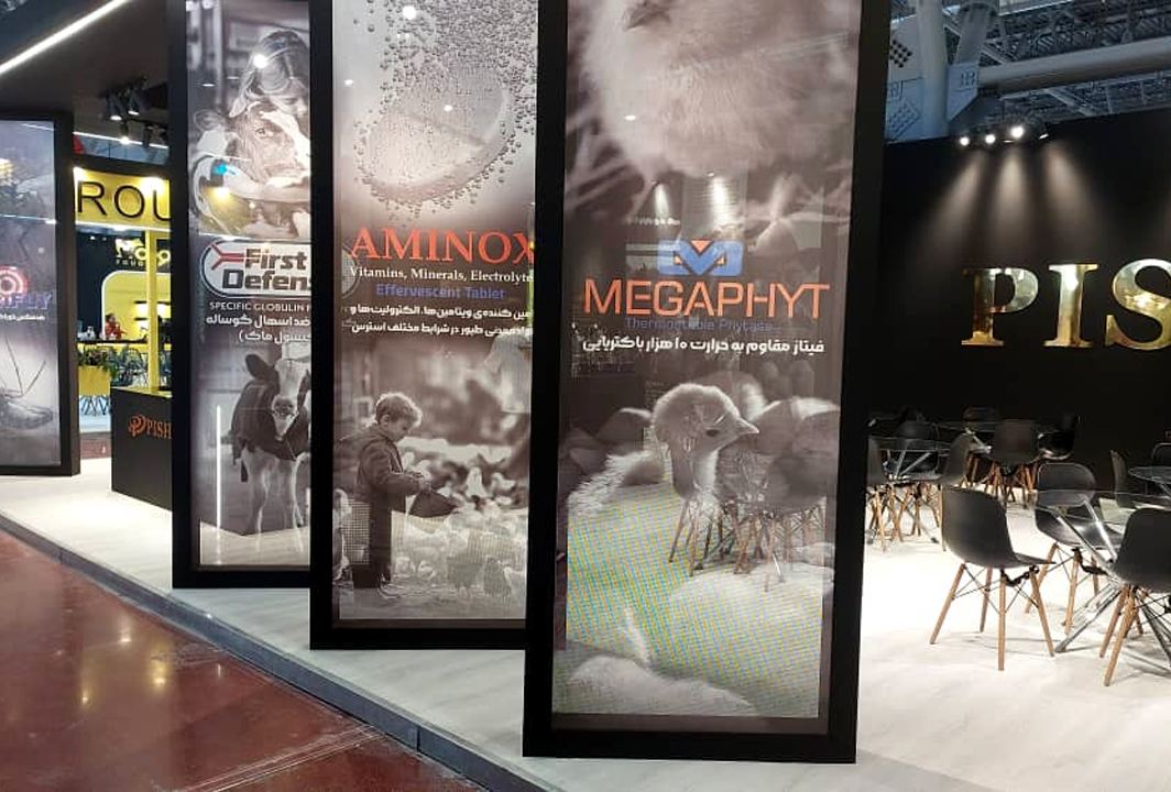 RADIS  </br> Experience